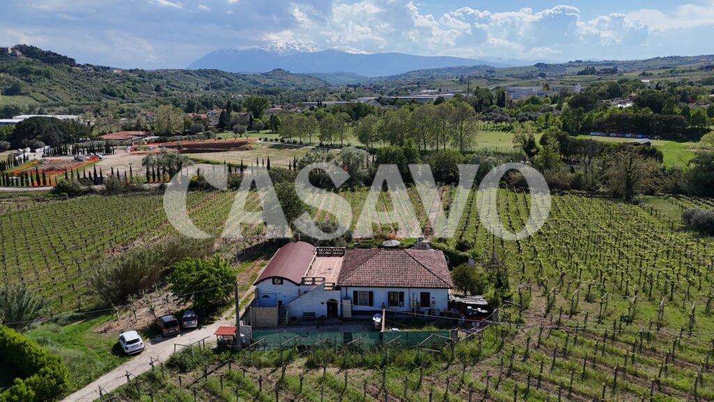 CASALE in vendita a MIGLIANICO IMMERSO NEI VIGNETI A POCHI MINUTI DAL MARE
